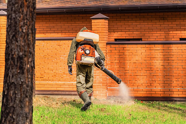 Trusted Mosquito Control service in Platteville, WI - Nex Pest Control